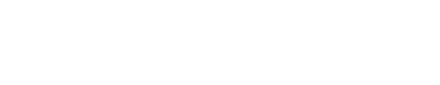 Vicero